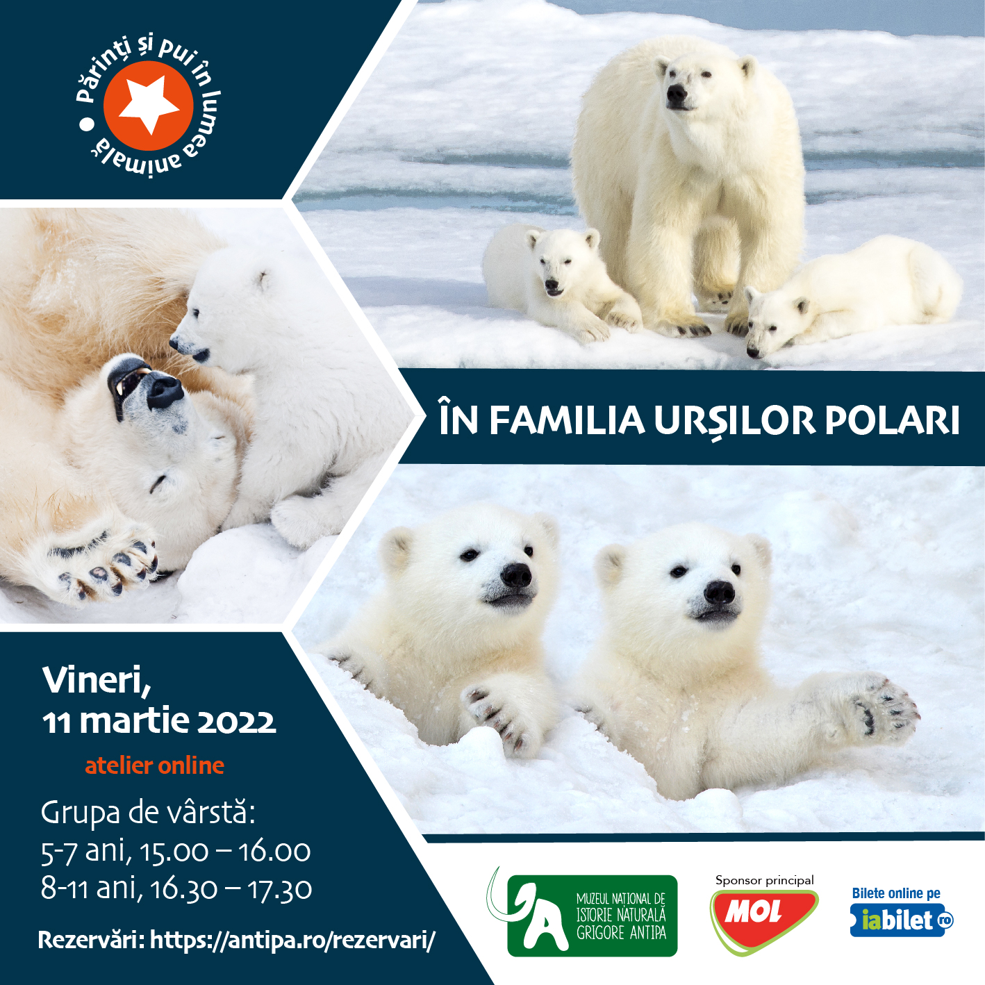 Atelier online intitulat „În familia urșilor polari”