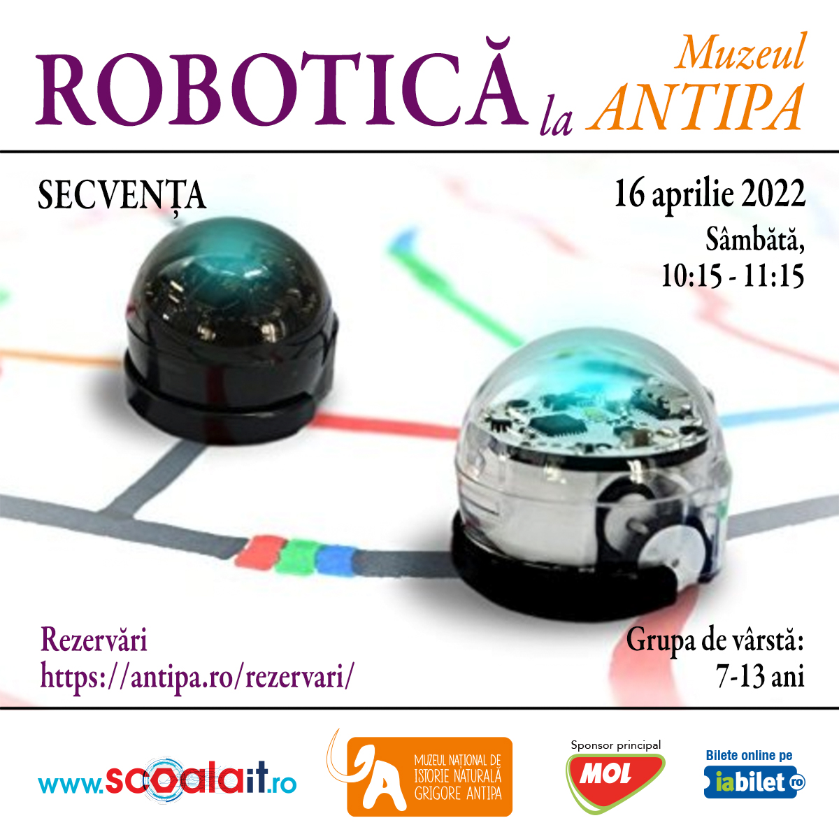 Robotică și Programare la Muzeul Antipa -  Tema intitulată Secvența