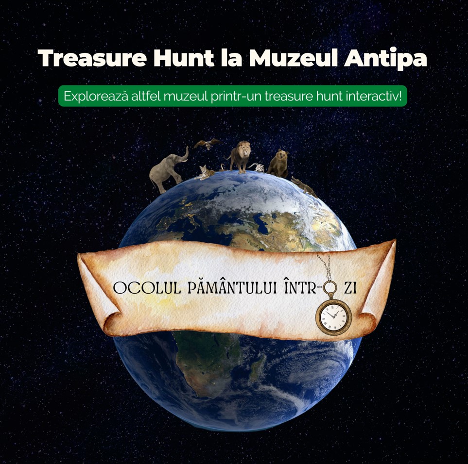 Vizual Treasure Hunt la Muzeul ANtipa