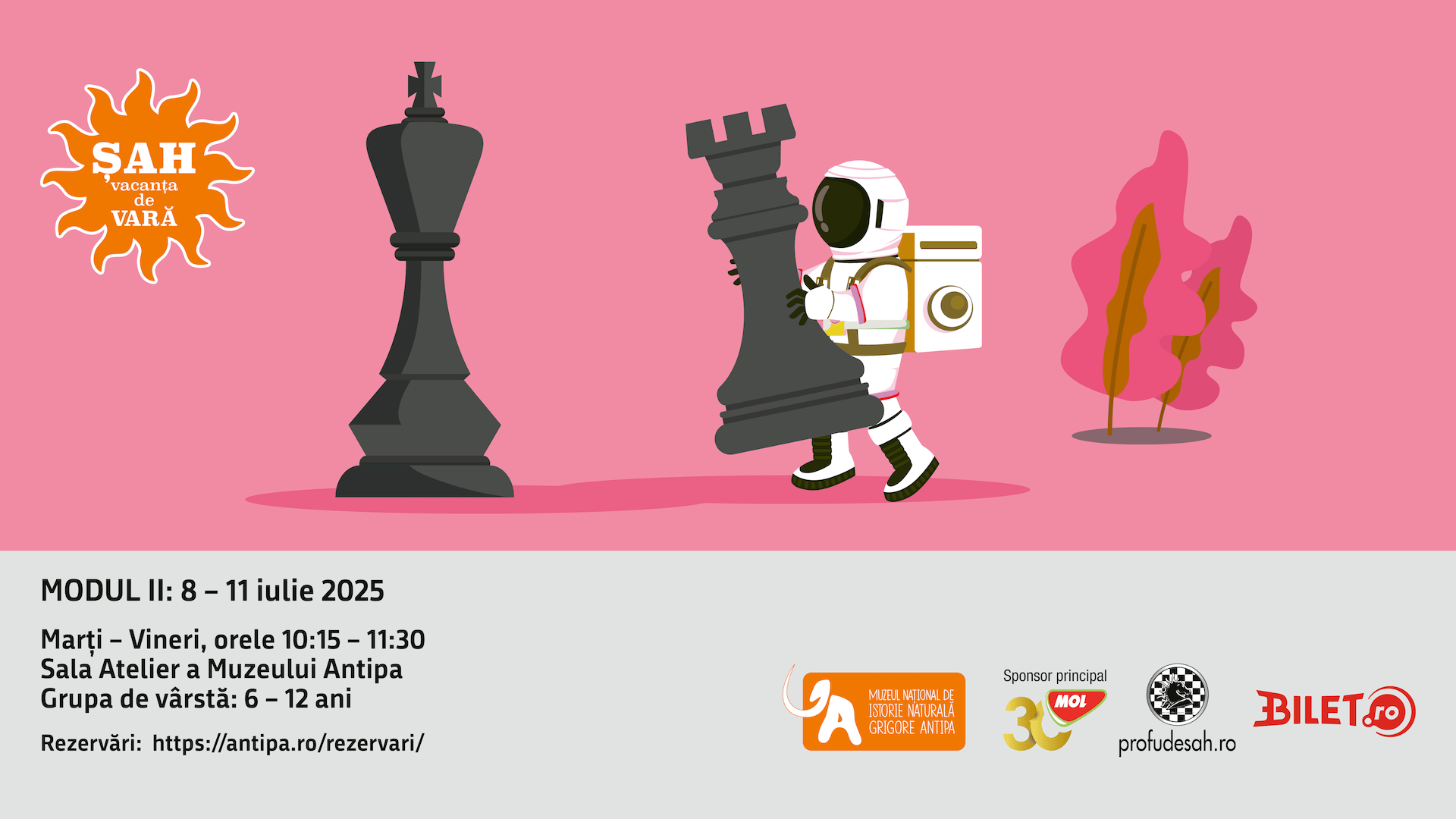 Șah la Antipa în vacanța de vară