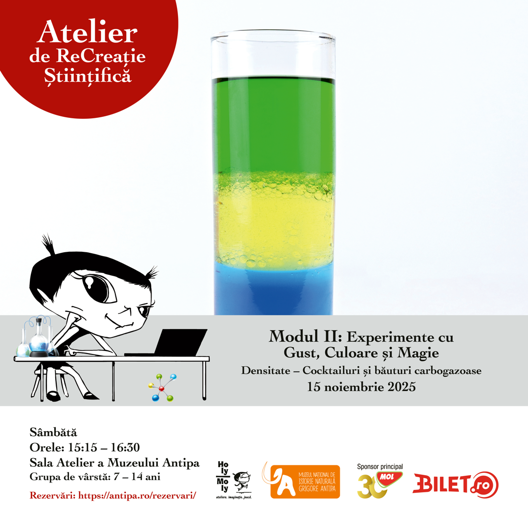 Vizual atelier recreatie stiintifica modul_II