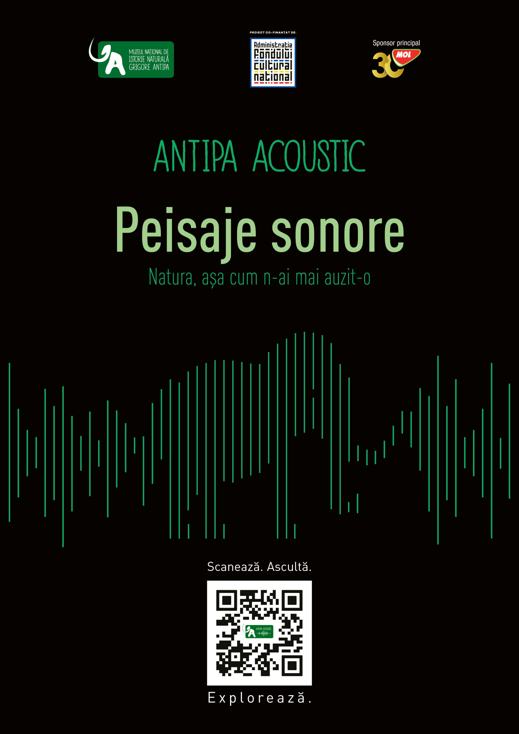 Afis oficial ANtipa Acoustic octombrie 2025