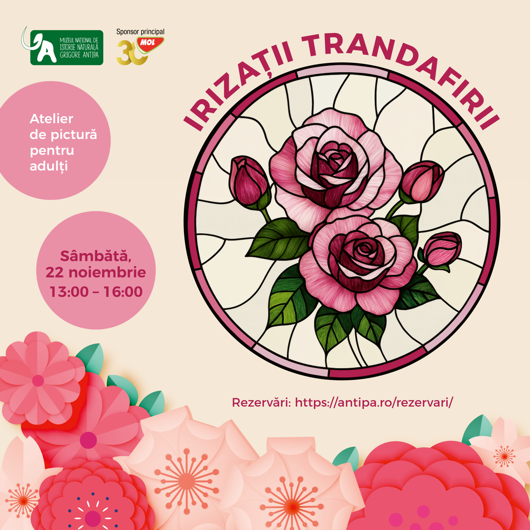 Afis_atelier_pictura_trandafiri_noiembrie