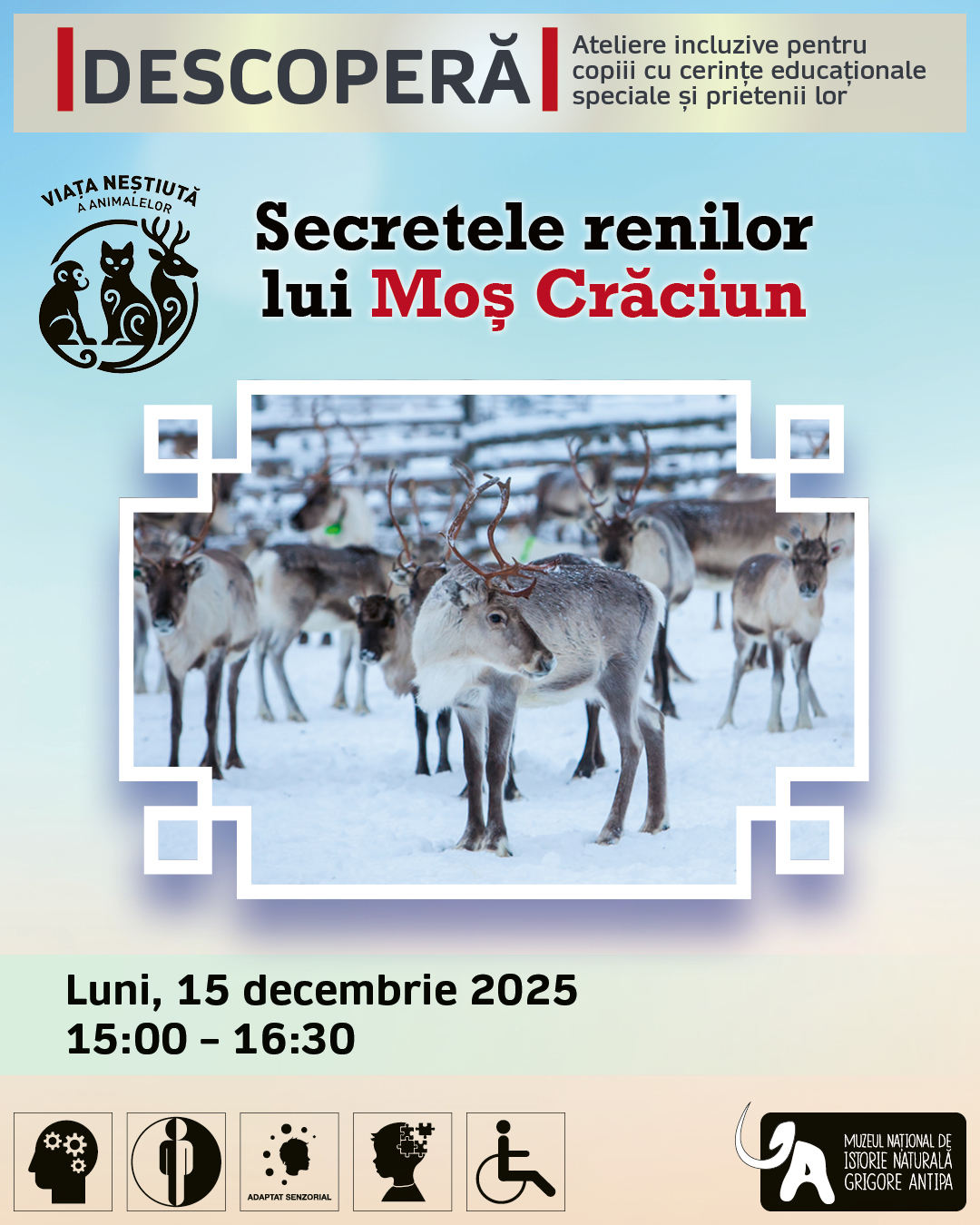 15_decembrie_2025_atelier_descoperă