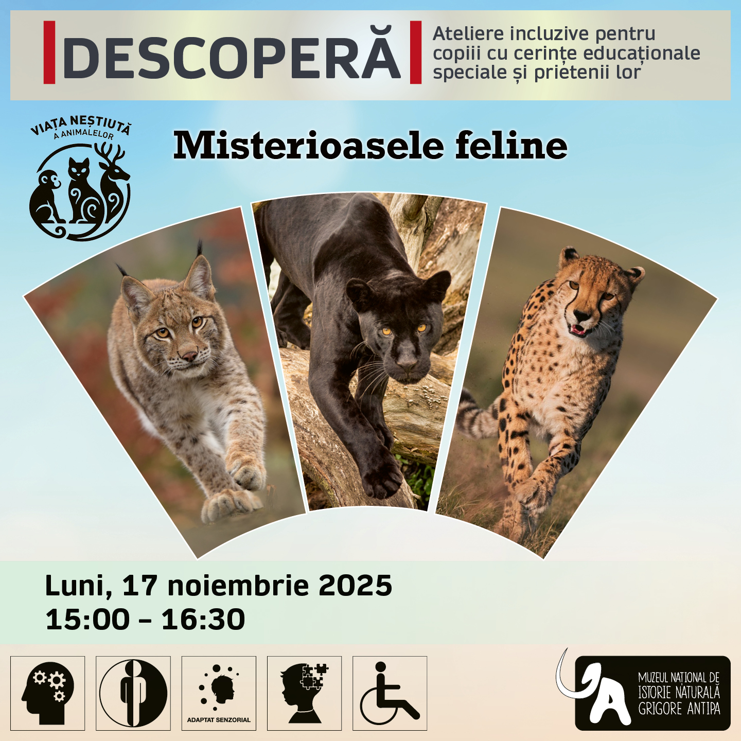 Descopera. Misterioasele feline