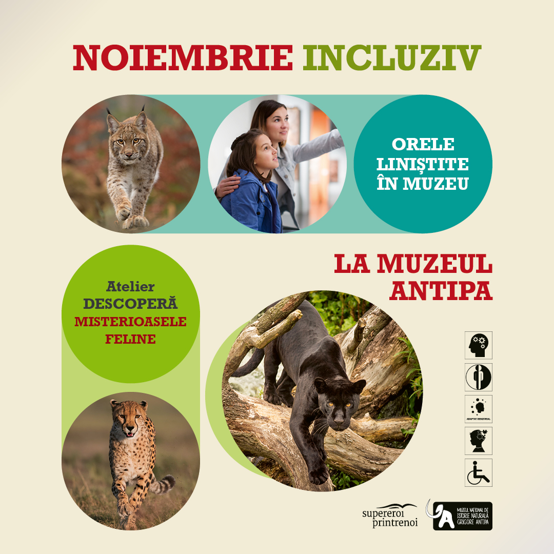 Descopera. Misterioasele feline