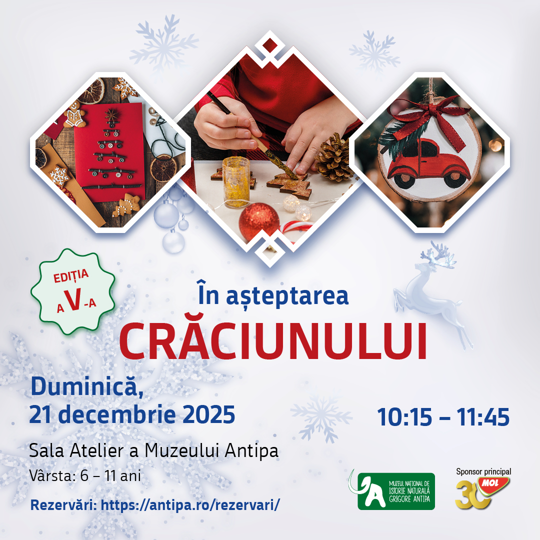 In_asteptarea_Craciunului_2025
