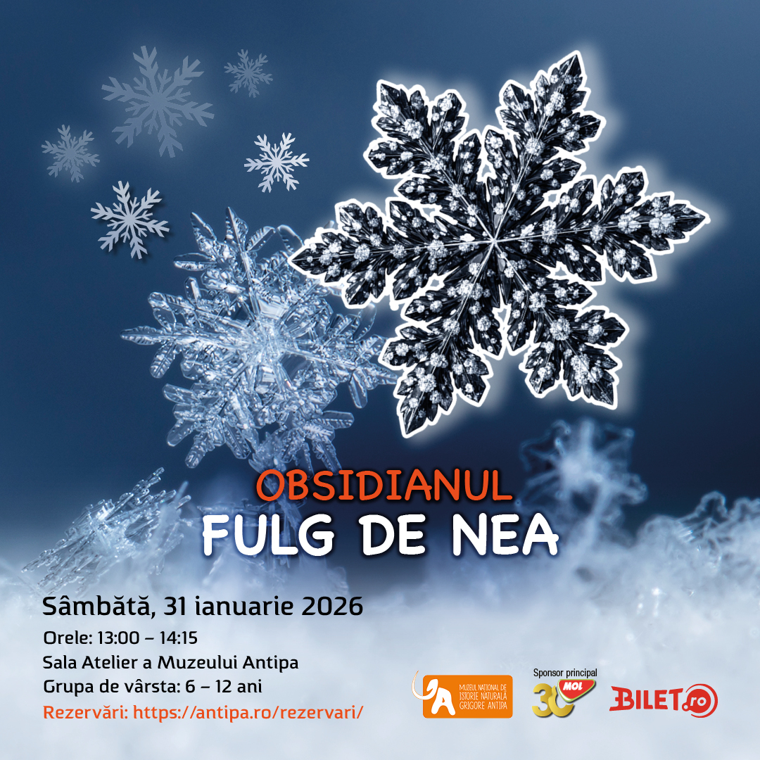 Obsidianul_fulg_de_nea