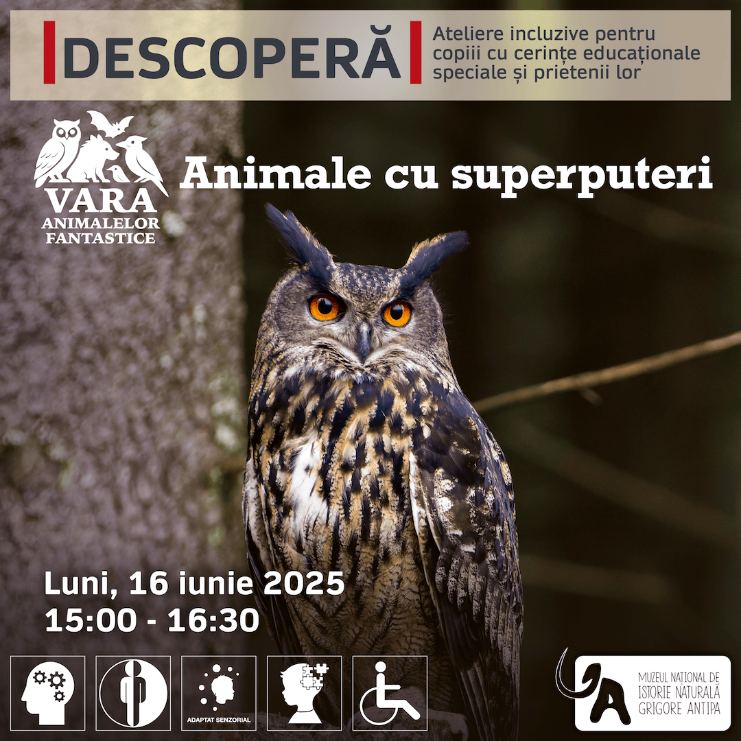 Vizual atelier incluziv Descopera