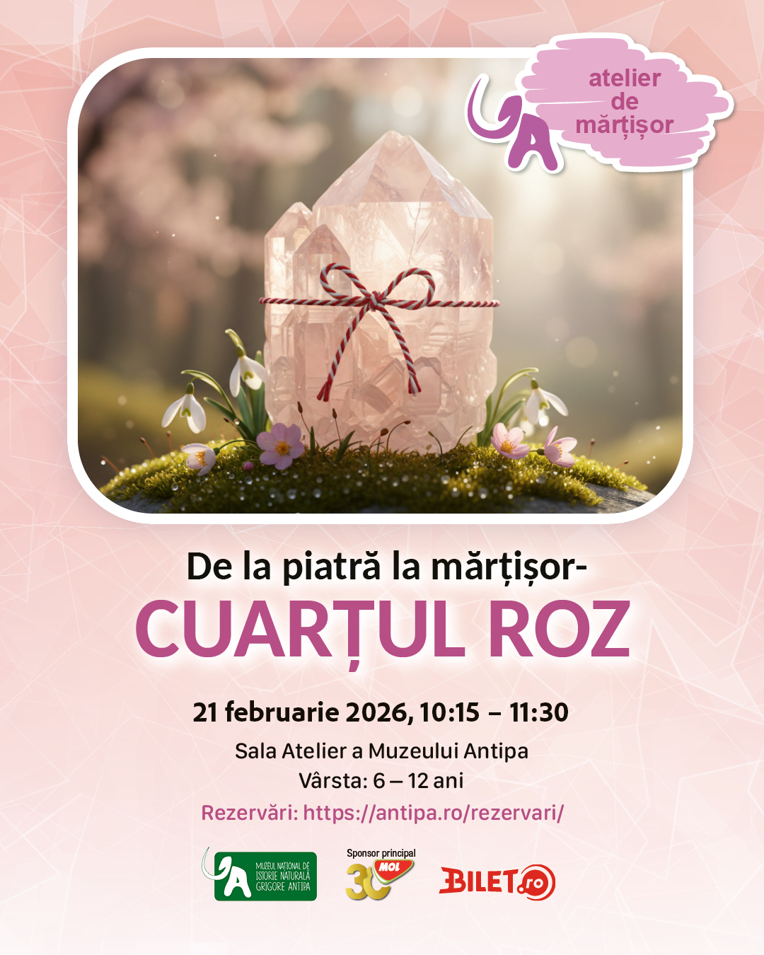 Cuartul_roz_21_februarie_2026