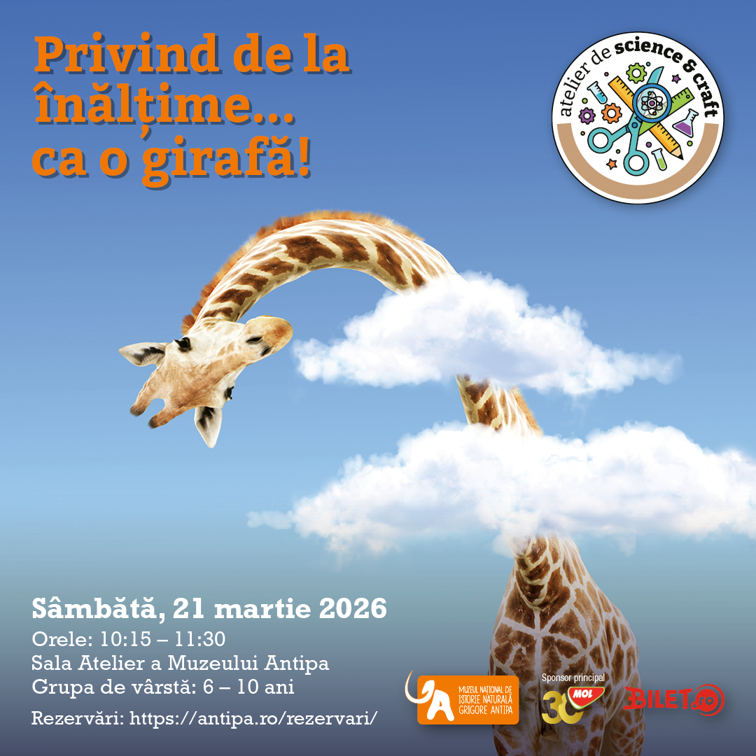 Privind_de_la_inaltime_21_martie_2026