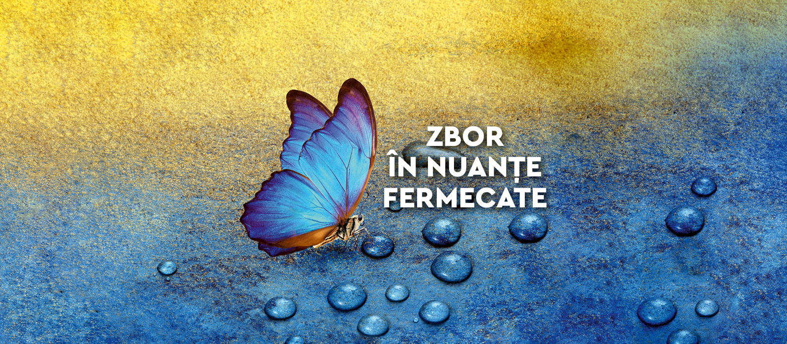 Zbor în nuanțe fermecate. Ateliere de science & craft 6-12 ani – Atelier pentru copii 6-12 ani
