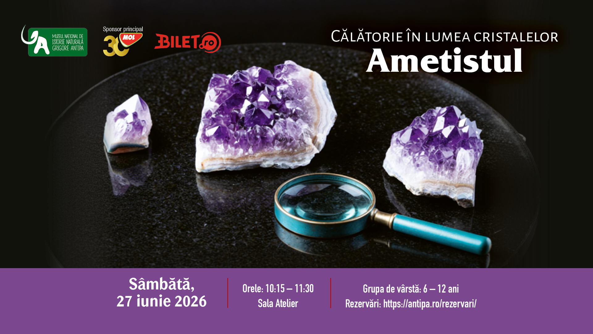 calatoria in lumea cristalelor-ametistul