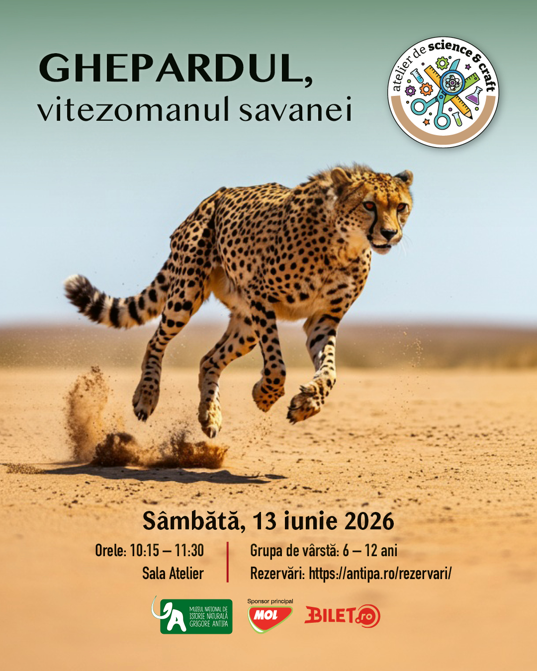 Afis pentru atelierul Ghepardul vitezomanul savanei 