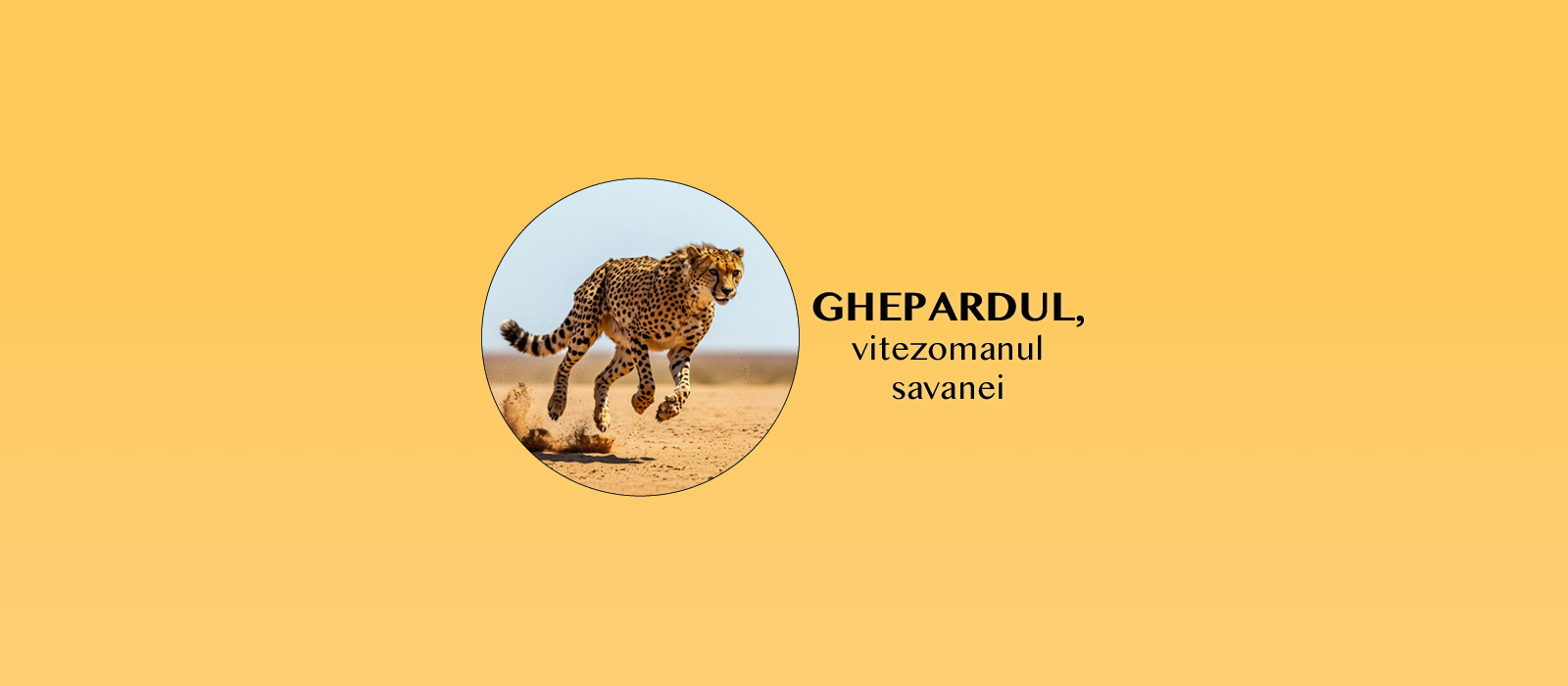 Ghepardul, vitezomanul savanei – Atelier pentru copii 6-12 ani