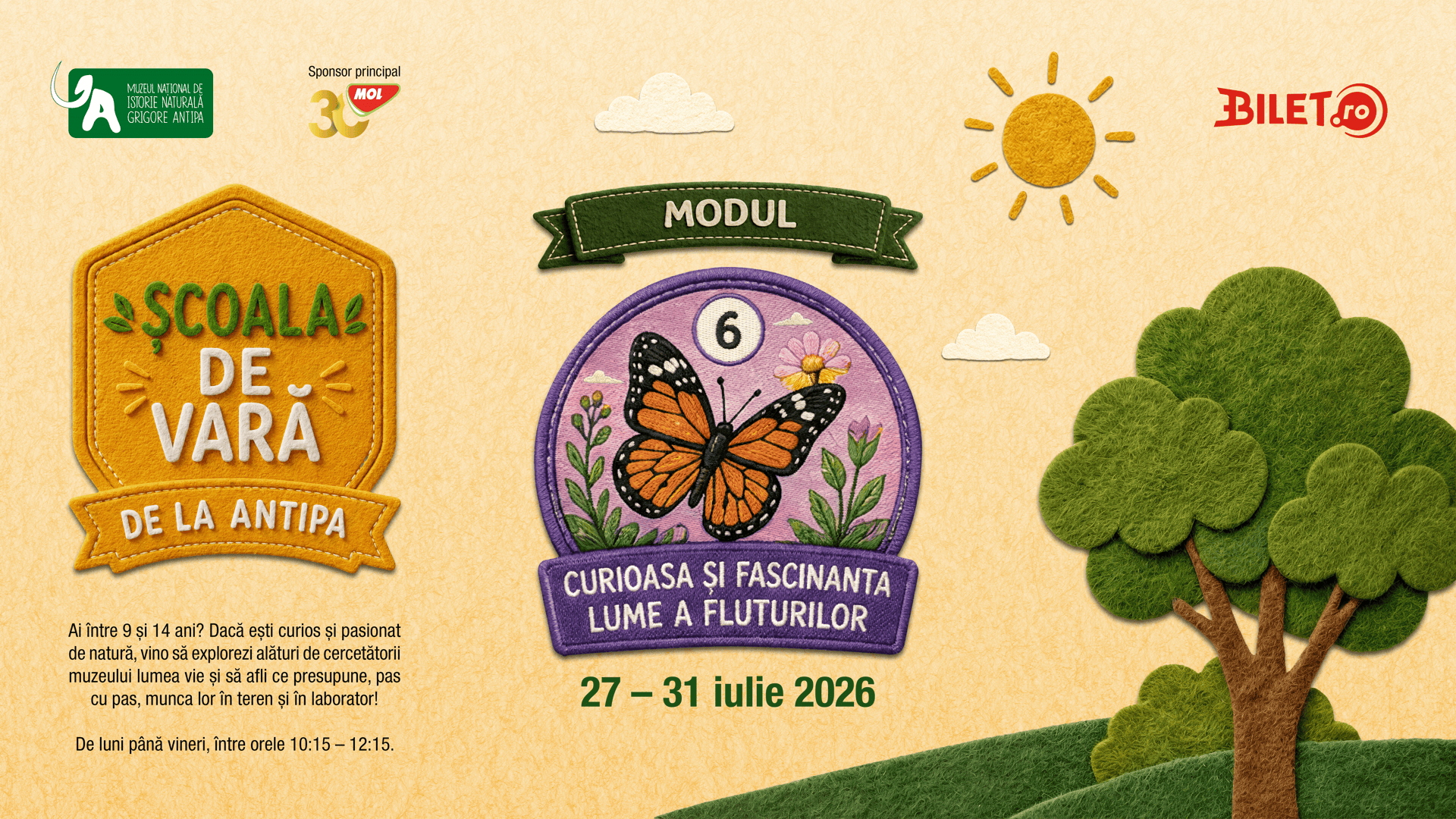 Vizual pentru Școala de Vară, modulul Curioasa și fascinanta lume a fluturilor