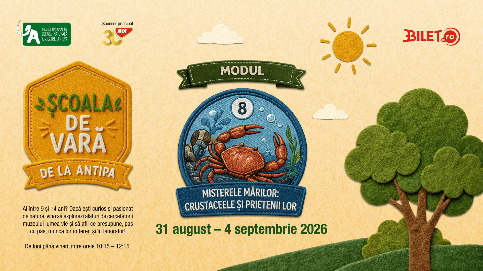 Vizual pentru Școala de Vară, modulul Misterele mărilor: crustaceele și prietenii lor