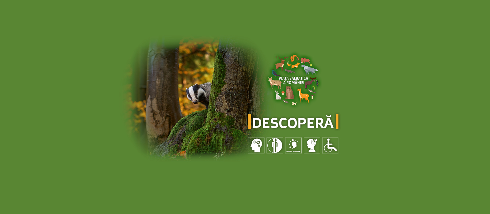 Descoperă. Viața sălbatică a României — București