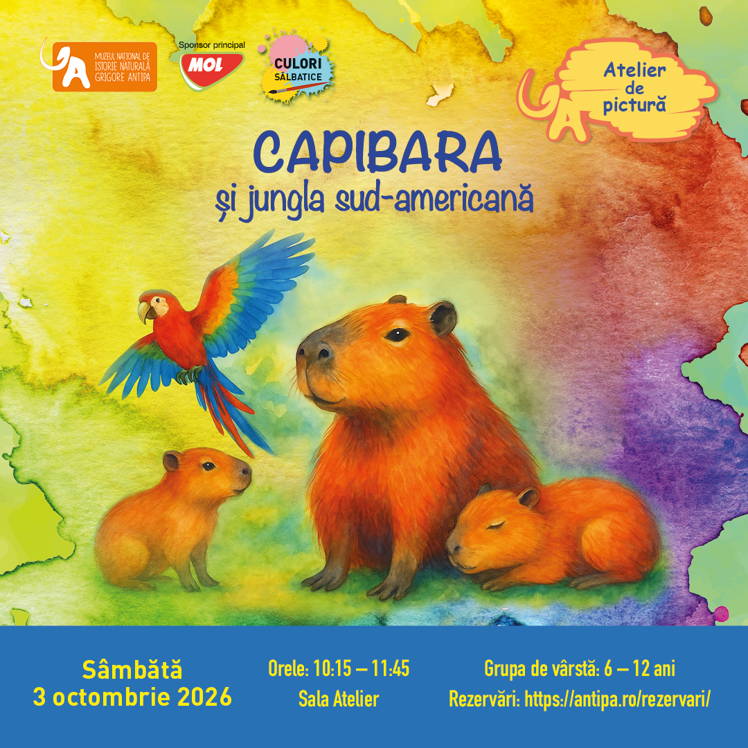 Capibara_și_jungla_3_octombrie_2026