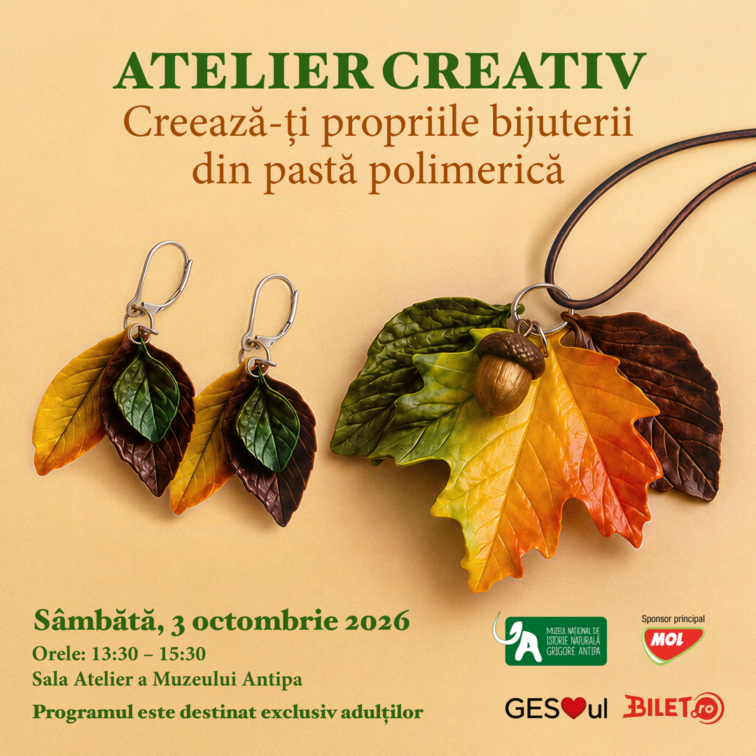 Atelier creativ set de bijuterii pastă polimerică 3 octombrie 206