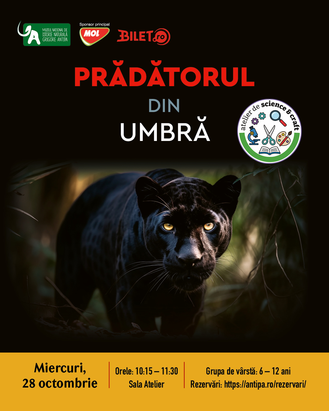 Prădătorul_din_umbră_pantera_neagră_28_octombrie_2026
