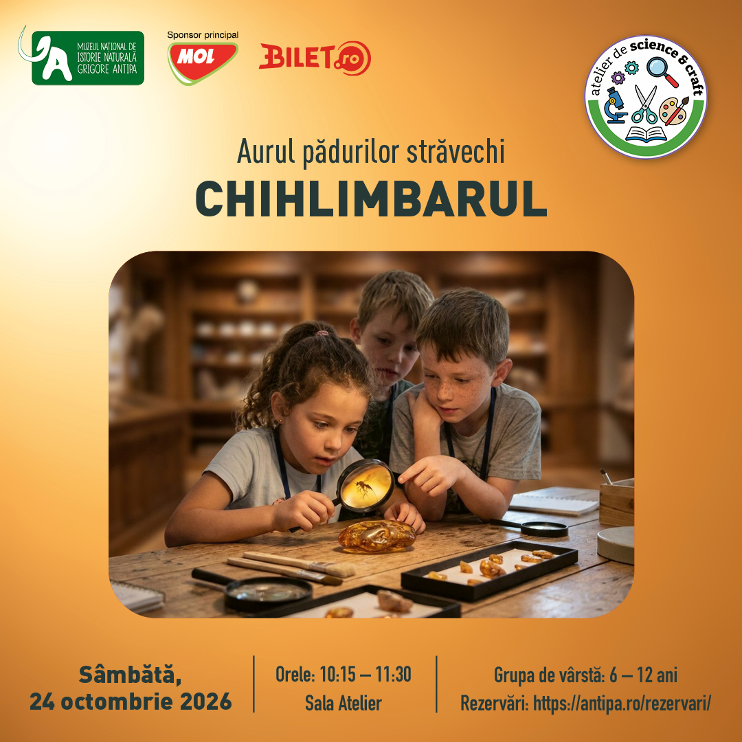 Afiș atelier pentru copii Aurul pădurilor străvechi de la Muzeul Antipa