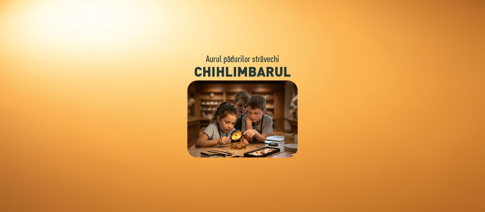 Aurul Pădurilor Străvechi: Secretele Chihlimbarului — București